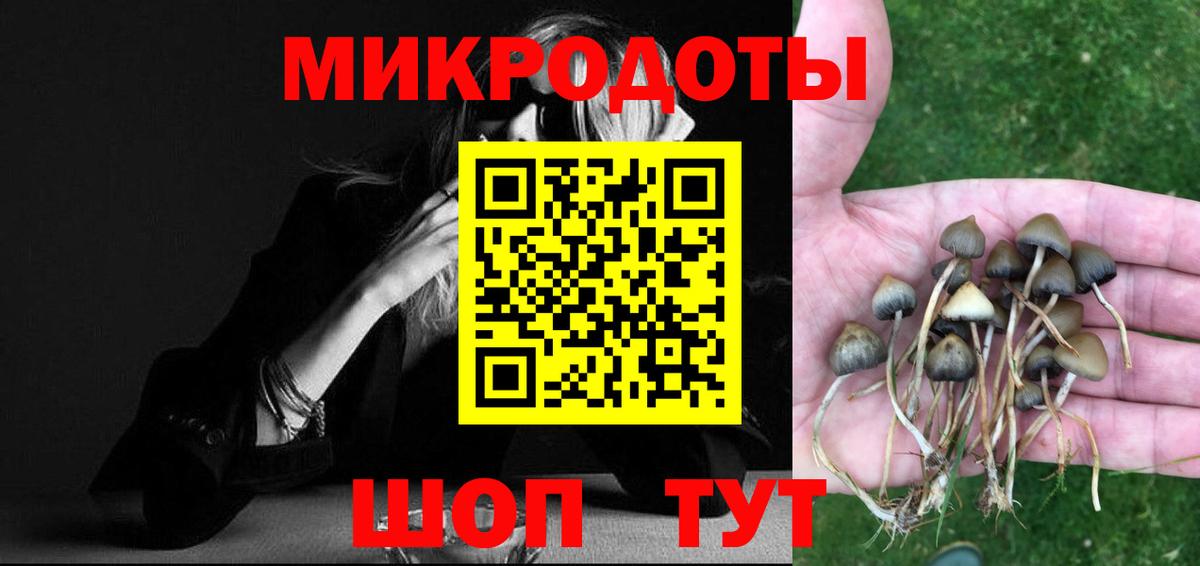 Псилоцибиновые грибы Psilocybe  Псилоцибиновые грибы ЛСД  Протвино  Вход с VPN 