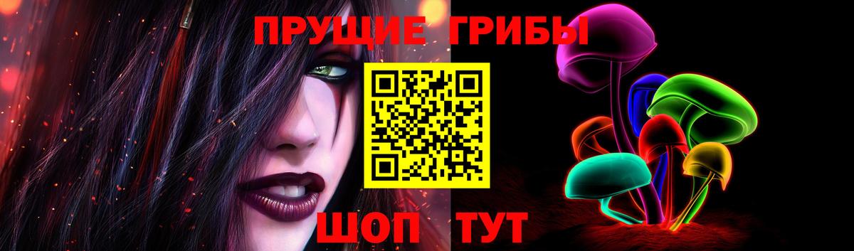 Псилоцибиновые грибы Psilocybe Протвино